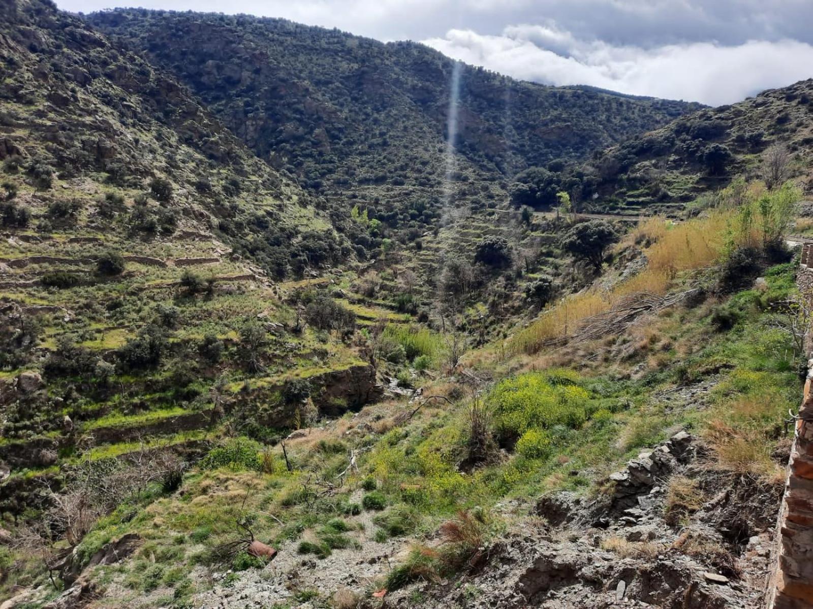 Casa Rural Serrano Abrucena Dış mekan fotoğraf
