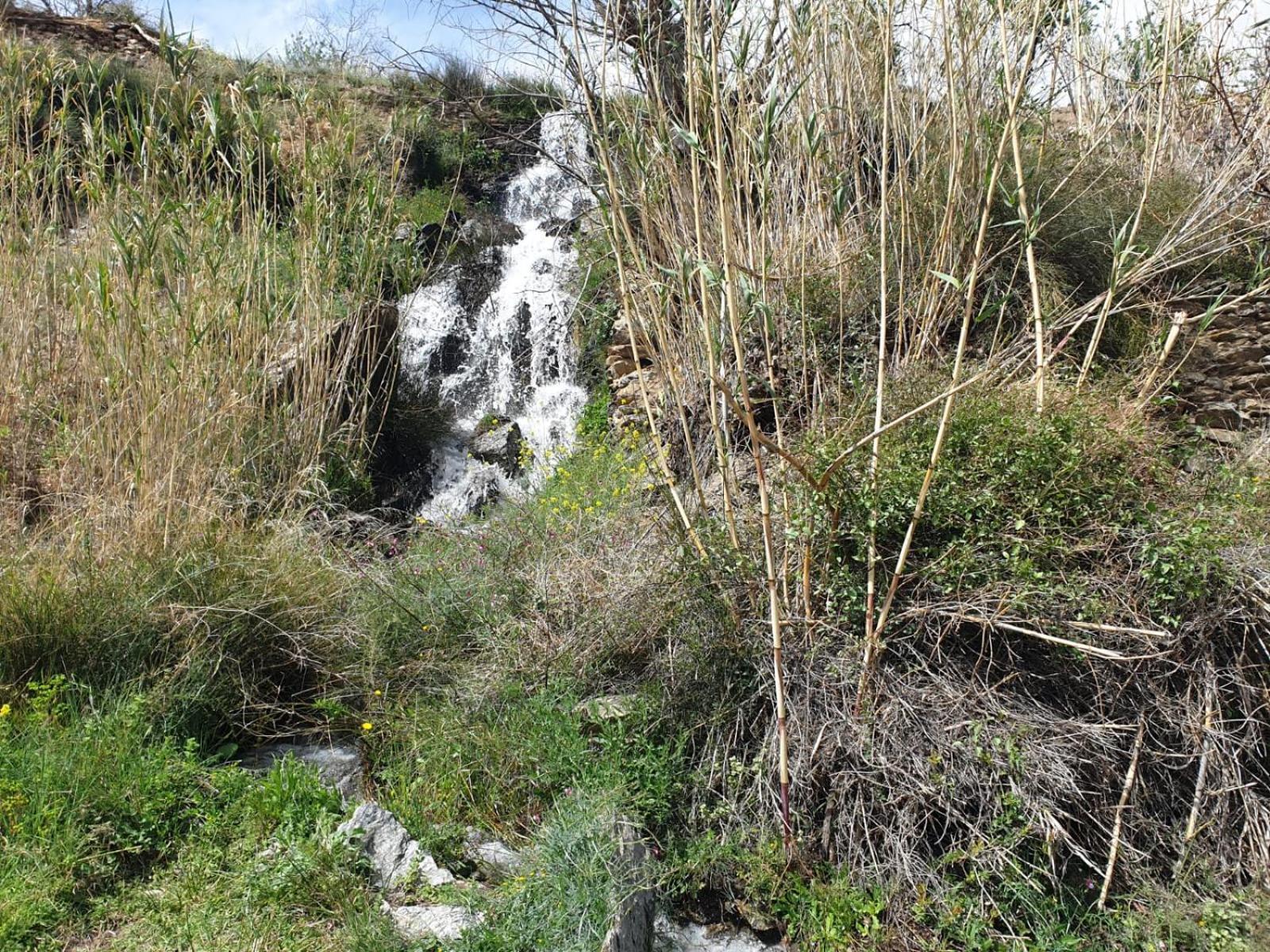Casa Rural Serrano Abrucena Dış mekan fotoğraf